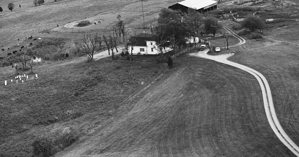 Vintage Aerial photo from 1981 in Boyle County, KY