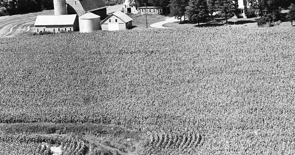 Vintage Aerial photo from 1970 in Renville County, MN