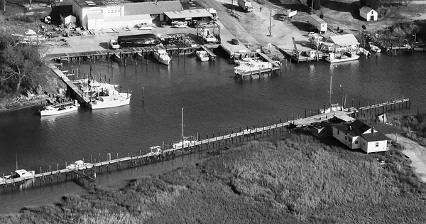 Vintage Aerial photo from 1984 in Isle of Wight County, VA