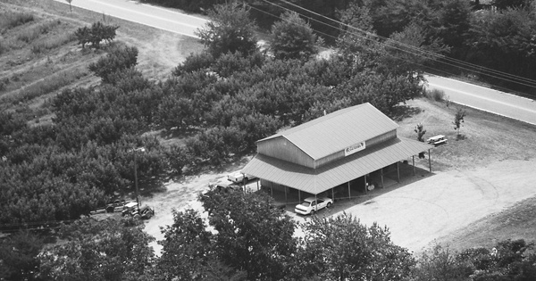 Vintage Aerial photo from 1999 in Spartanburg County, SC