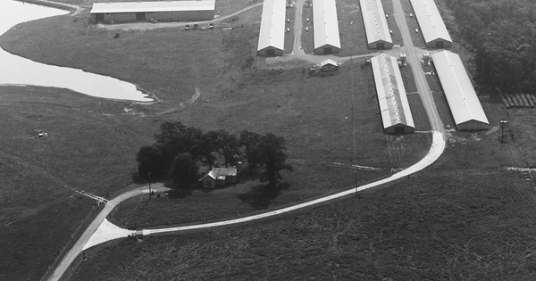 Vintage Aerial photo from 1992 in Floyd County, GA