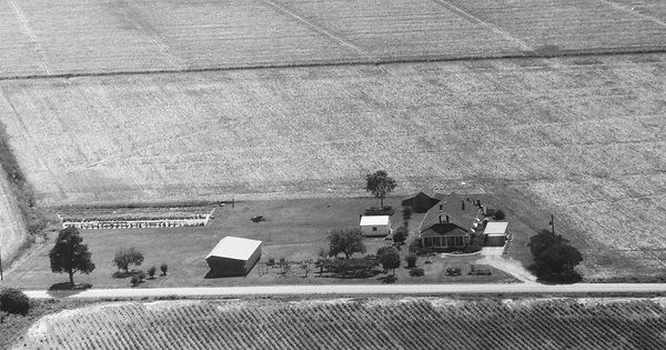 Vintage Aerial photo from 1995 in Perquimans County, NC