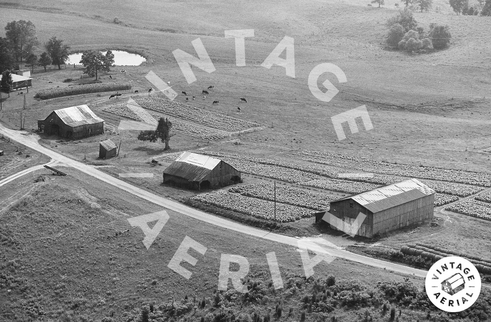 Vintage Aerial Kentucky Hart County 1981 59IHA8