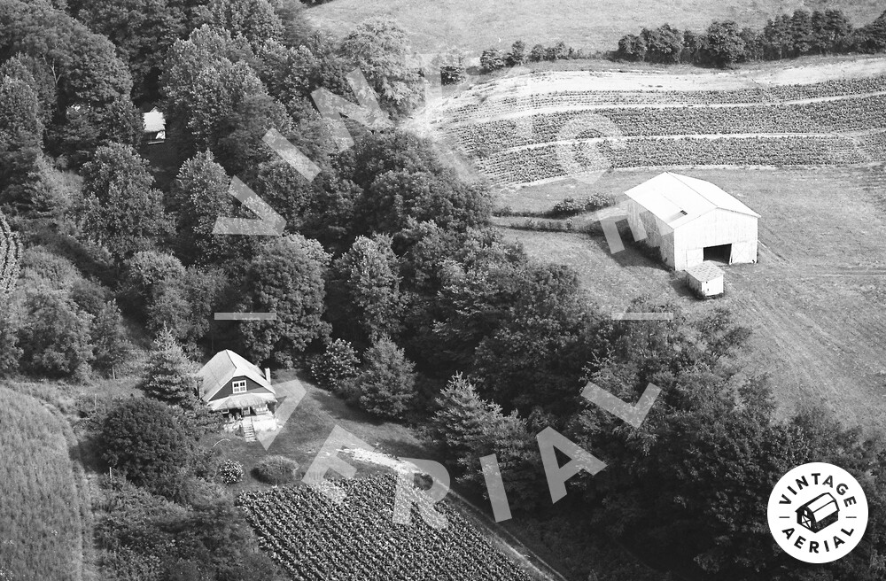 Vintage Aerial Kentucky Elliott County 1982 16WEL15