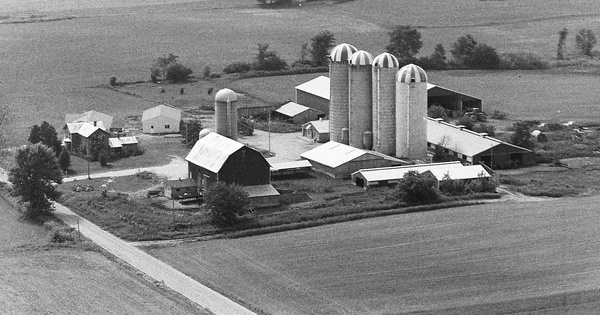 Vintage Aerial photo from 1983 in Ionia County, MI