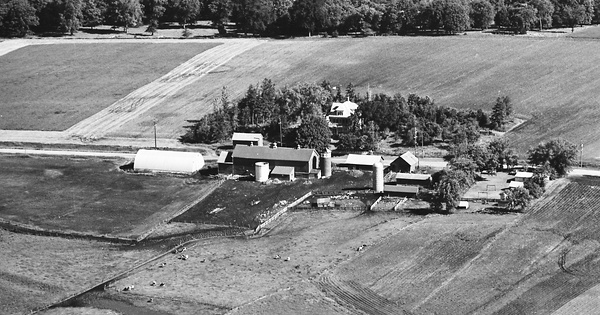 Vintage Aerial photo from 1967 in Carver County, MN