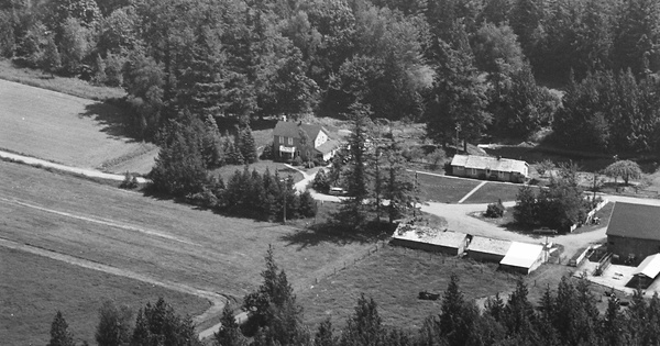 Vintage Aerial photo from 1968 in Whatcom County, WA