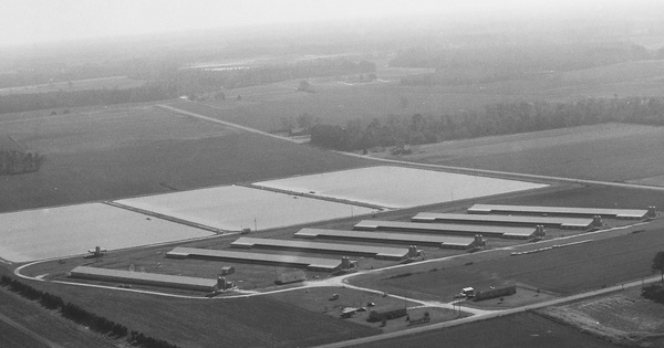 Vintage Aerial photo from 1999 in Lenoir County, NC