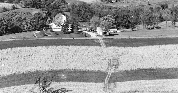 Vintage Aerial photo from 1980 in Jo Daviess County, IL