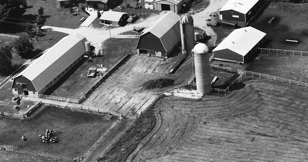 Vintage Aerial photo from 1991 in Osceola County, MI