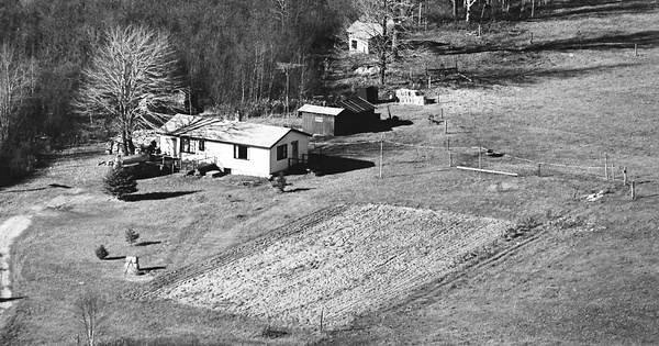 Vintage Aerial photo from 1981 in Ogemaw County, MI