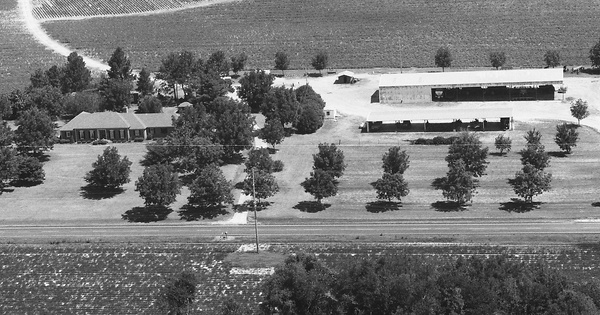 Vintage Aerial photo from 1990 in Dooly County, GA