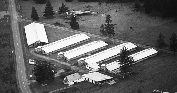 Vintage Aerial photo from 1971 in Thurston County, WA