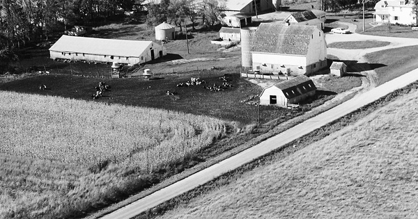 Vintage Aerial photo from 1969 in Dodge County, MN