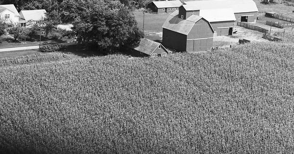 Vintage Aerial photo from 1978 in Buchanan County, IA