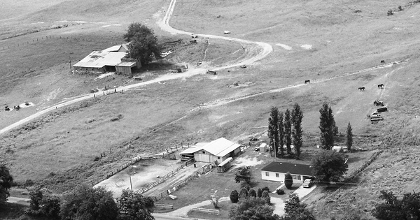 Vintage Aerial photo from 1982 in Gallatin County, IL