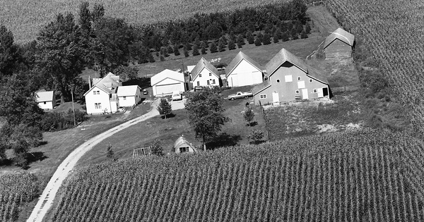 Vintage Aerial photo from 1981 in Watonwan County, MN