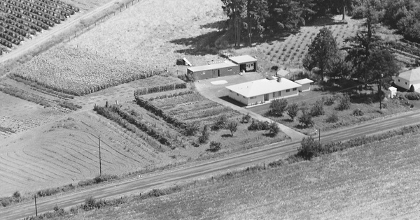Vintage Aerial photo from 1969 in Washington County, OR