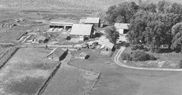 Vintage Aerial photo from 1981 in Carroll County, IA