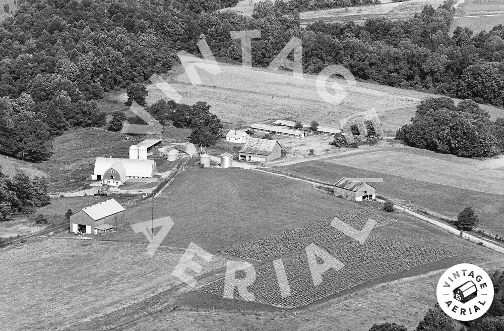 Vintage Aerial Kentucky Taylor County 1979 2OTA24