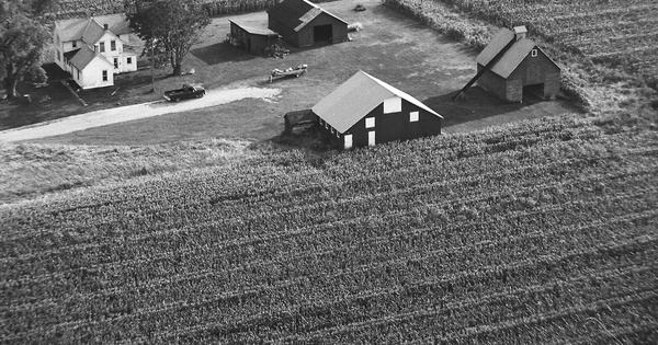 Vintage Aerial photo from 1982 in Champaign County, IL