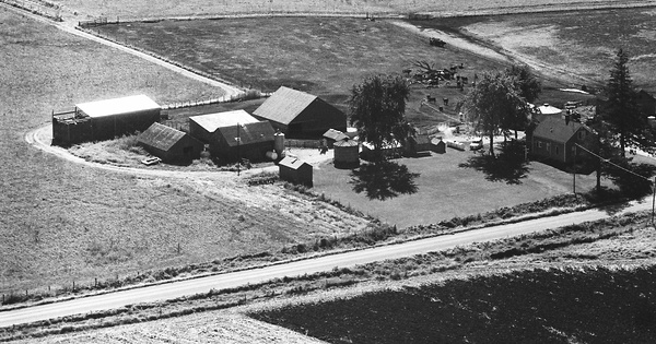 Vintage Aerial photo from 1972 in Cedar County, IA