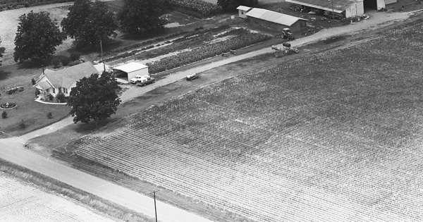 Vintage Aerial photo from -1986 in Arkansas County, AR