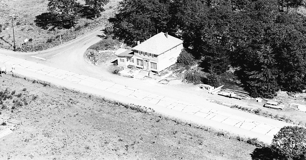 Vintage Aerial photo from 1971 in Thurston County, WA
