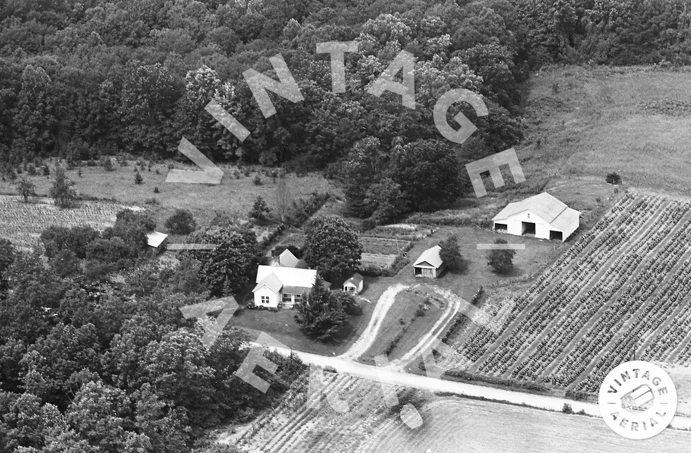 Vintage Aerial North Carolina Yadkin County 1965 51HYA7