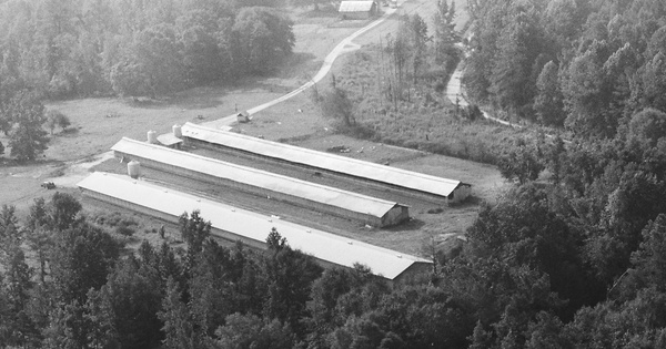 Vintage Aerial photo from 1982 in Pike County, GA