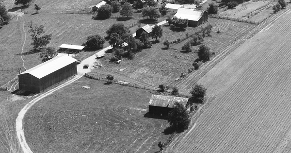 Vintage Aerial photo from 1986 in Bourbon County, KY