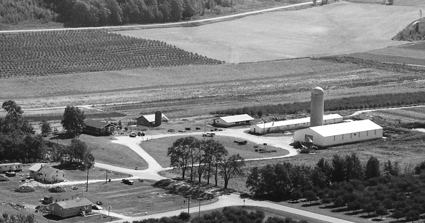 Vintage Aerial photo from 1989 in Leelanau County, MI