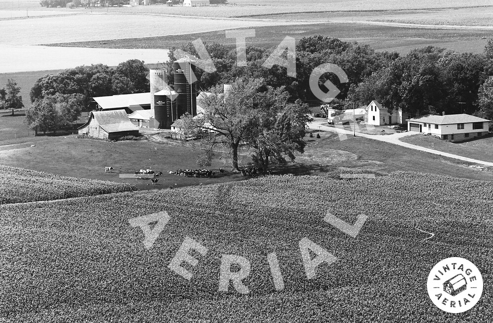 Vintage Aerial Minnesota Renville County 1970 9PRE29