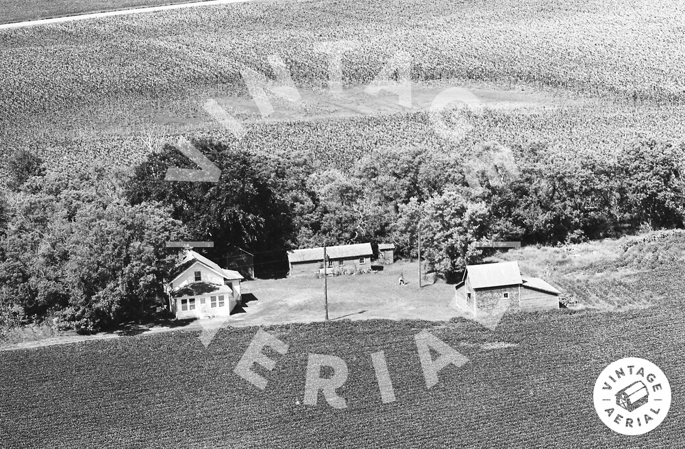 Vintage Aerial Minnesota Renville County 1967 58MRE10