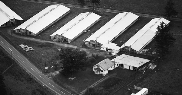 Vintage Aerial photo from 1971 in Thurston County, WA