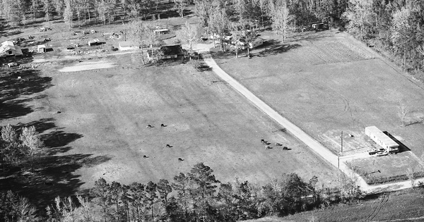 Vintage Aerial photo from 1985 in Liberty County, TX