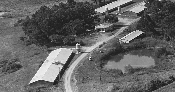 Vintage Aerial photo from 1983 in Cullman County, AL