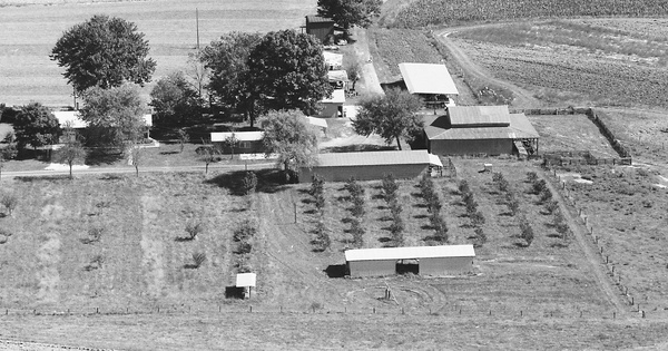 Vintage Aerial photo from 1985 in Davie County, NC