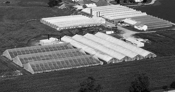 Vintage Aerial photo from 1983 in Wayne County, OH