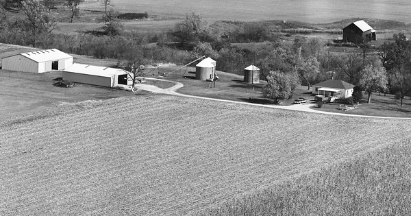 Vintage Aerial photo from 1981 in Greene County, IL