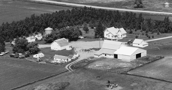 Vintage Aerial photo from 1984 in Murray County, MN
