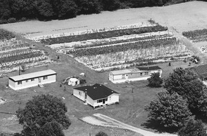 Vintage Aerial | West Virginia | Lincoln County | 1983 | 78-DLN-34