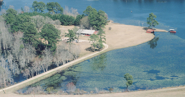 Vintage Aerial photo from 1999 in Candler County, GA