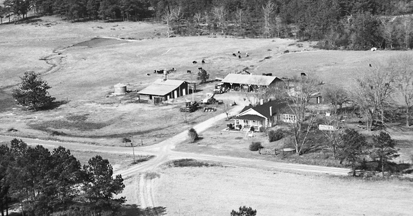 Vintage Aerial photo from 1982 in Henry County, AL