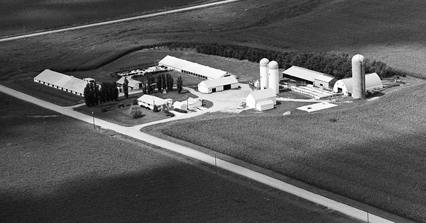Vintage Aerial photo from 1981 in Palo Alto County, IA