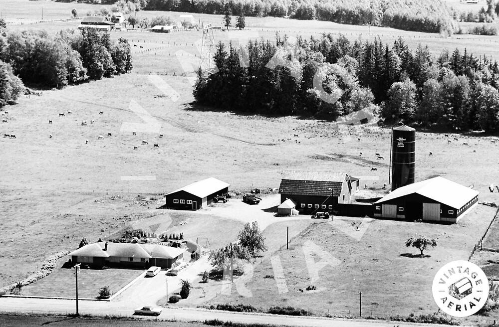 Vintage Aerial Washington County 1968 10ZWH3